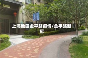 上海地区金平路疫情/金平路新冠