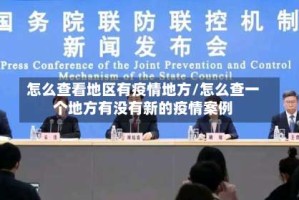 怎么查看地区有疫情地方/怎么查一个地方有没有新的疫情案例