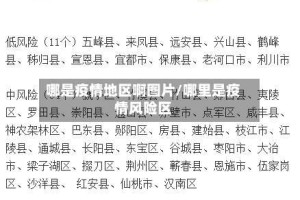 哪是疫情地区啊图片/哪里是疫情风险区