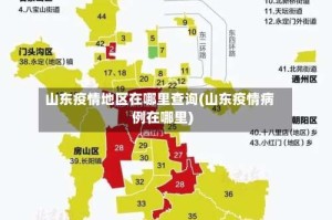 山东疫情地区在哪里查询(山东疫情病例在哪里)