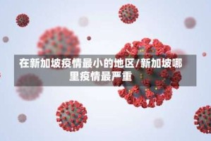 在新加坡疫情最小的地区/新加坡哪里疫情最严重