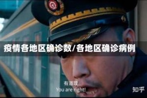 疫情各地区确诊数/各地区确诊病例