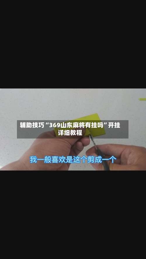 辅助技巧“369山东麻将有挂吗	”开挂详细教程-第1张图片