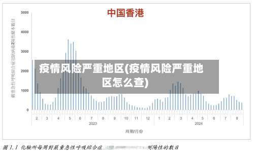 疫情风险严重地区(疫情风险严重地区怎么查)-第2张图片