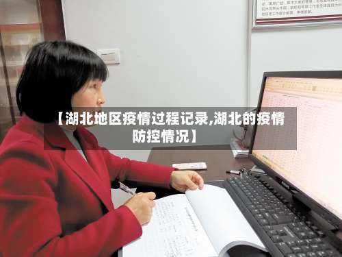 【湖北地区疫情过程记录,湖北的疫情防控情况】-第2张图片