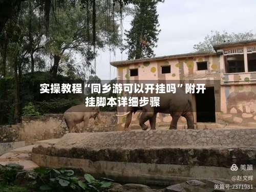 实操教程“同乡游可以开挂吗”附开挂脚本详细步骤-第3张图片