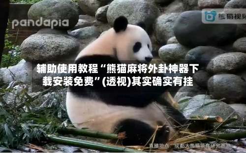 辅助使用教程“熊猫麻将外卦神器下载安装免费	”(透视)其实确实有挂-第2张图片