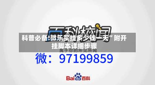 科普必备!微乐买挂多少钱一天”附开挂脚本详细步骤-第2张图片