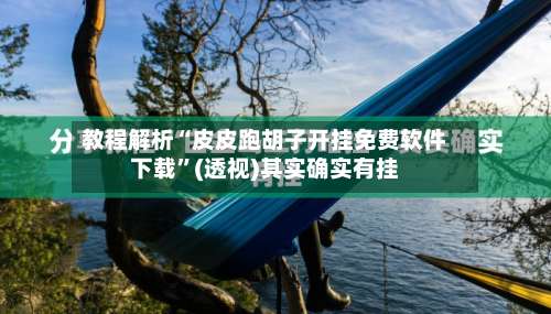 教程解析“皮皮跑胡子开挂免费软件下载”(透视)其实确实有挂-第1张图片
