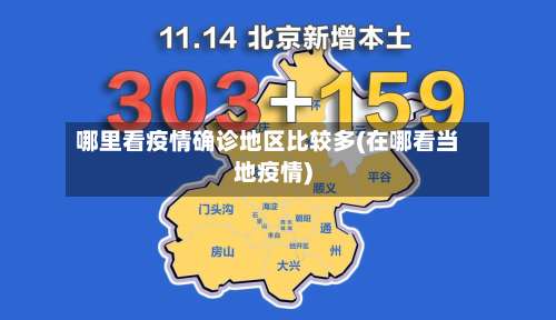 哪里看疫情确诊地区比较多(在哪看当地疫情)-第1张图片