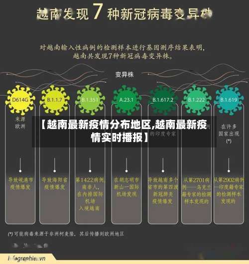 【越南最新疫情分布地区,越南最新疫情实时播报】-第3张图片