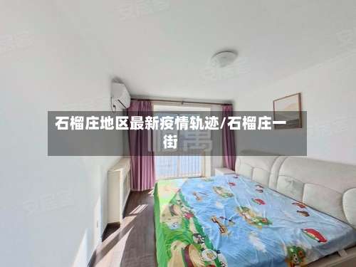 石榴庄地区最新疫情轨迹/石榴庄一街-第1张图片