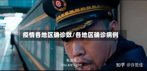 疫情各地区确诊数/各地区确诊病例-第1张图片