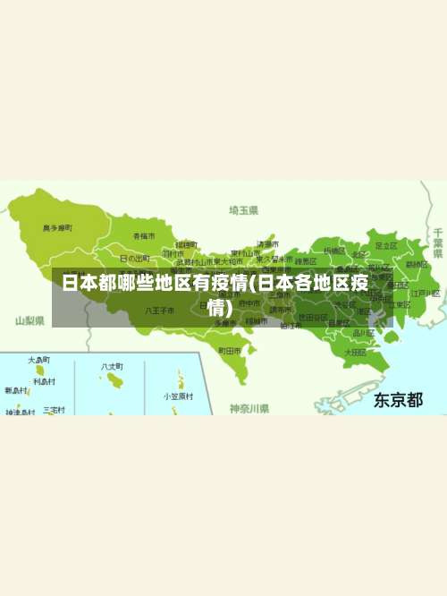 日本都哪些地区有疫情(日本各地区疫情)-第1张图片