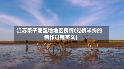 江苏条子泥湿地地区疫情(过桥米线的制作过程英文)-第2张图片