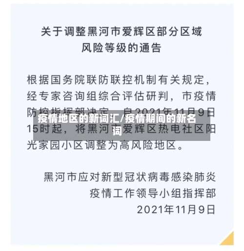 疫情地区的新词汇/疫情期间的新名词-第1张图片