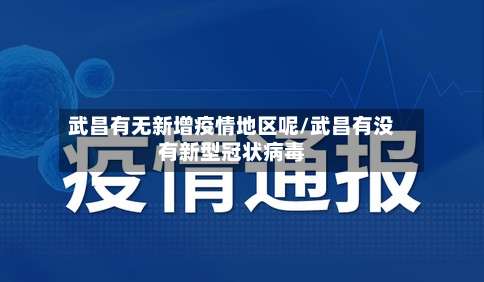 武昌有无新增疫情地区呢/武昌有没有新型冠状病毒-第2张图片