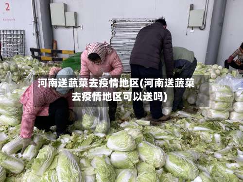 河南送蔬菜去疫情地区(河南送蔬菜去疫情地区可以送吗)-第2张图片