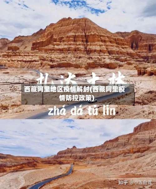 西藏阿里地区疫情解封(西藏阿里疫情防控政策)-第3张图片