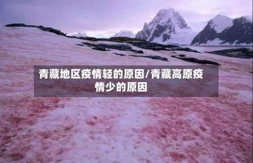 青藏地区疫情轻的原因/青藏高原疫情少的原因-第3张图片