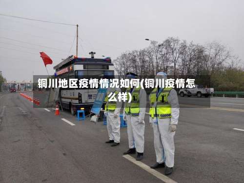 铜川地区疫情情况如何(铜川疫情怎么样)-第1张图片