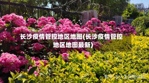 长沙疫情管控地区地图(长沙疫情管控地区地图最新)-第2张图片