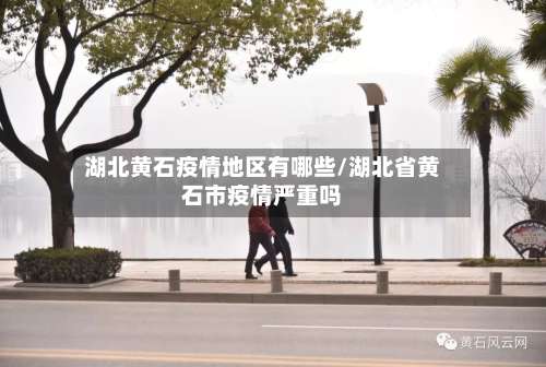 湖北黄石疫情地区有哪些/湖北省黄石市疫情严重吗-第3张图片