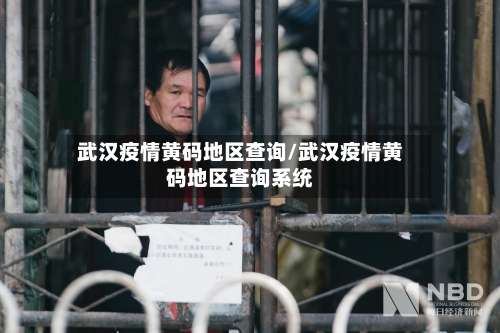 武汉疫情黄码地区查询/武汉疫情黄码地区查询系统-第1张图片