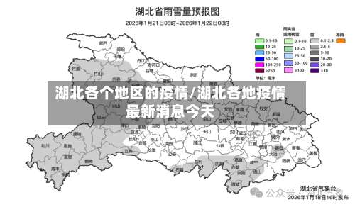 湖北各个地区的疫情/湖北各地疫情最新消息今天-第3张图片
