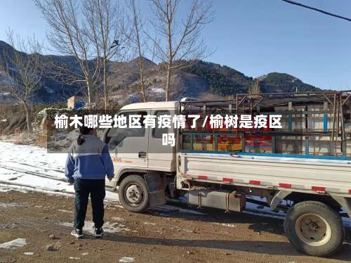 榆木哪些地区有疫情了/榆树是疫区吗-第2张图片