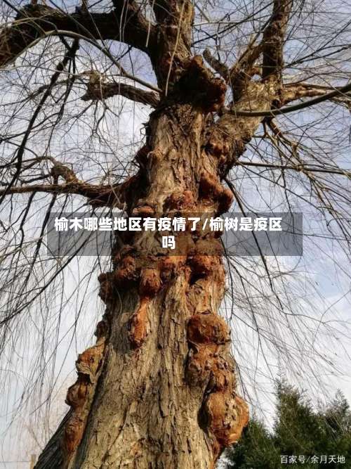 榆木哪些地区有疫情了/榆树是疫区吗-第1张图片